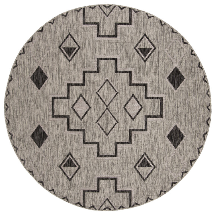Amarien Southwestern Indoor/Outdoor Area Rug