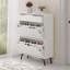 Baneen 8 Pair Shoe Storage Cabinet-321113049
