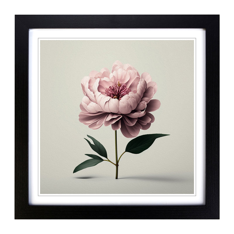 Peony Flower Minimalism - Framed Print, Black