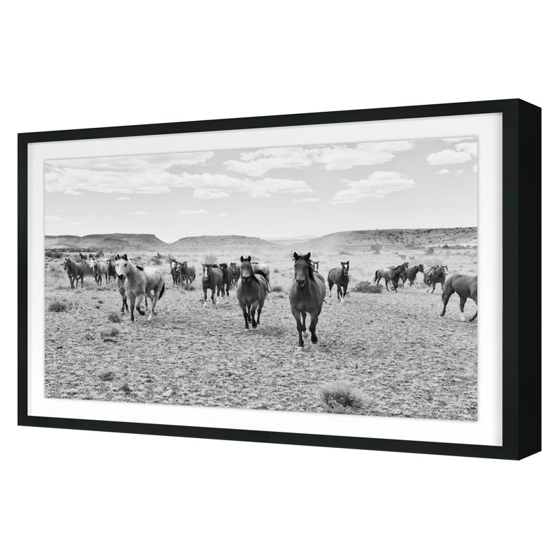 «Remuda B&W» par Jean Cornell, Cadre noir, H 20 po x l 30 po