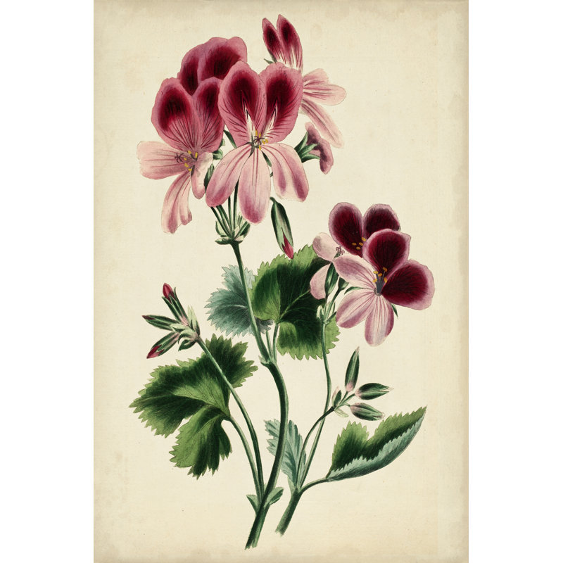 Natures Romance IV by Vision Studio - Wrapped Canvas Painting, 122cm H x 81cm W