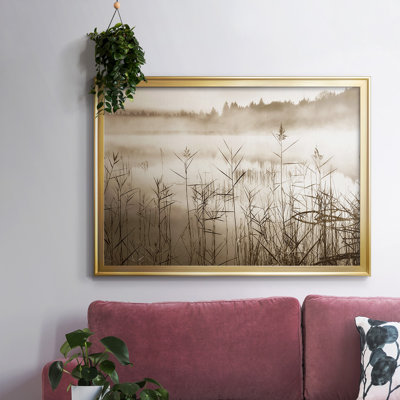 " Soft Sepia Rise "