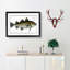 Cod Fish by M.E. Bloch - Picture Frame Painting-57864474-57864473