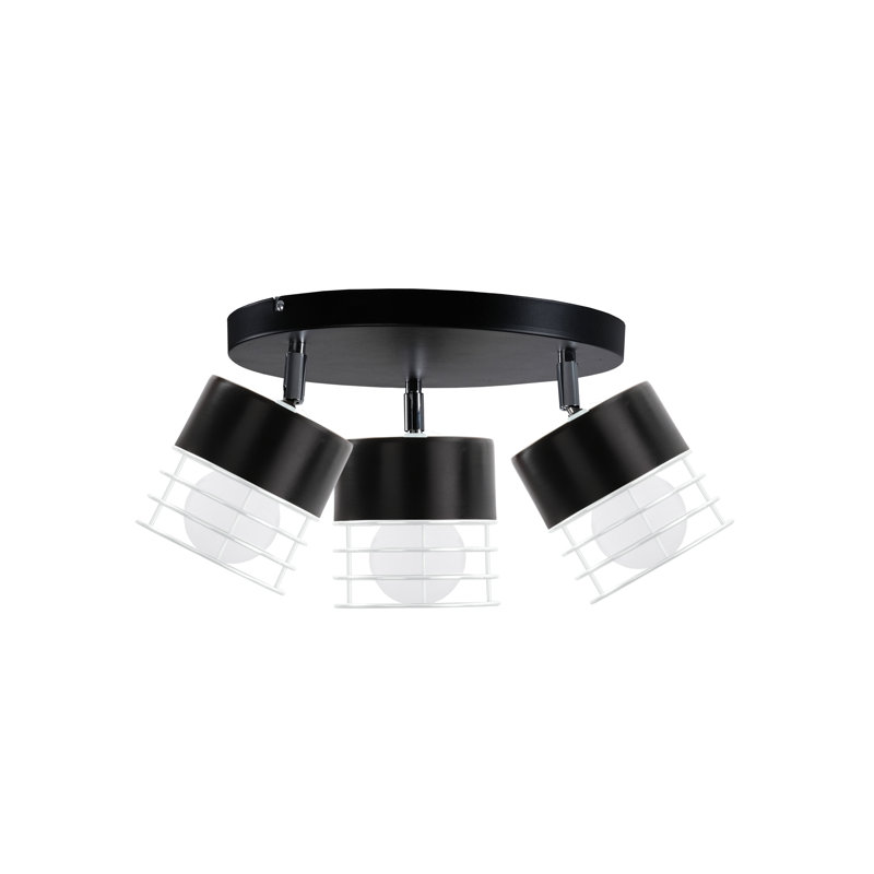 Cordia Spotlight