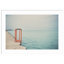 The Orange Steps by Laura Evans-432933826-432933853