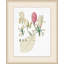 Buds and Leaves Illustration Framed Watercolour Painting Print