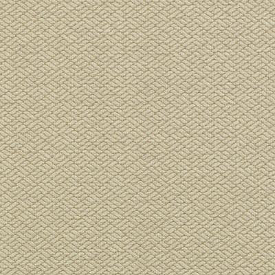 Crypton Home Vol. II Fabric