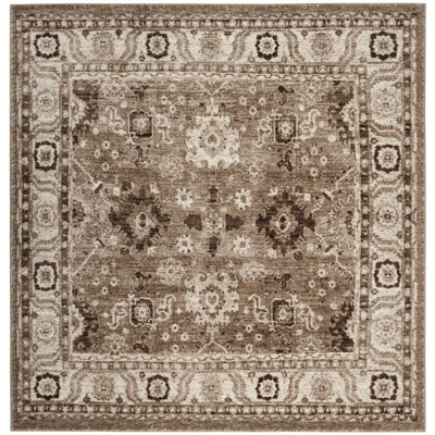 Imaya Oriental Taupe Area Rug