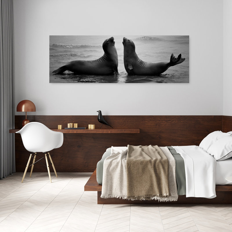Éléphant de mer, art mural côtier contemporain éléphant, H 20 po x l 60 po