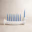 Menagerie Dachshund Menorah