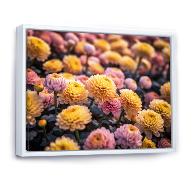 " Yellow Pink Chrysanthemums Field ", 24" H x 32" W x 1" D, White Floater Framed