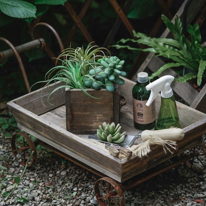 Support pour plante Coyner