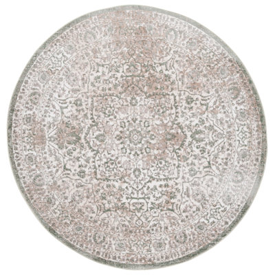 Aelyn Performance Oriental Rug