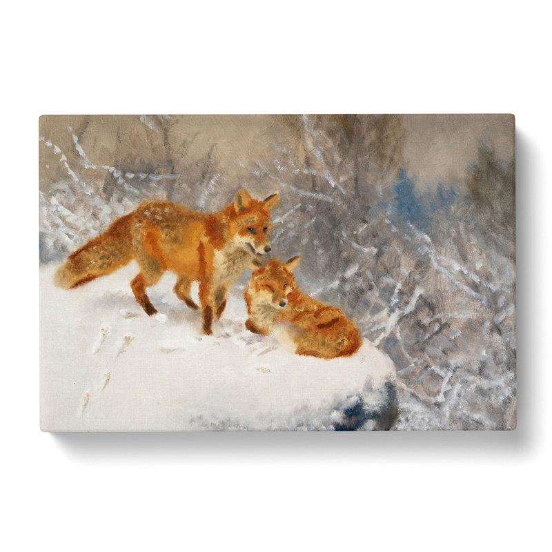 Two Foxes by Bruno Liljefors - Wrapped Canvas, 40cm H x 60cm W x 3cm D