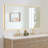 Dazzle Rectangular Anti-Fog Dimmable Modern Bathroom/Vanity LED Lighted Wall Mirror in Aluminum Framed-109539952-109539956