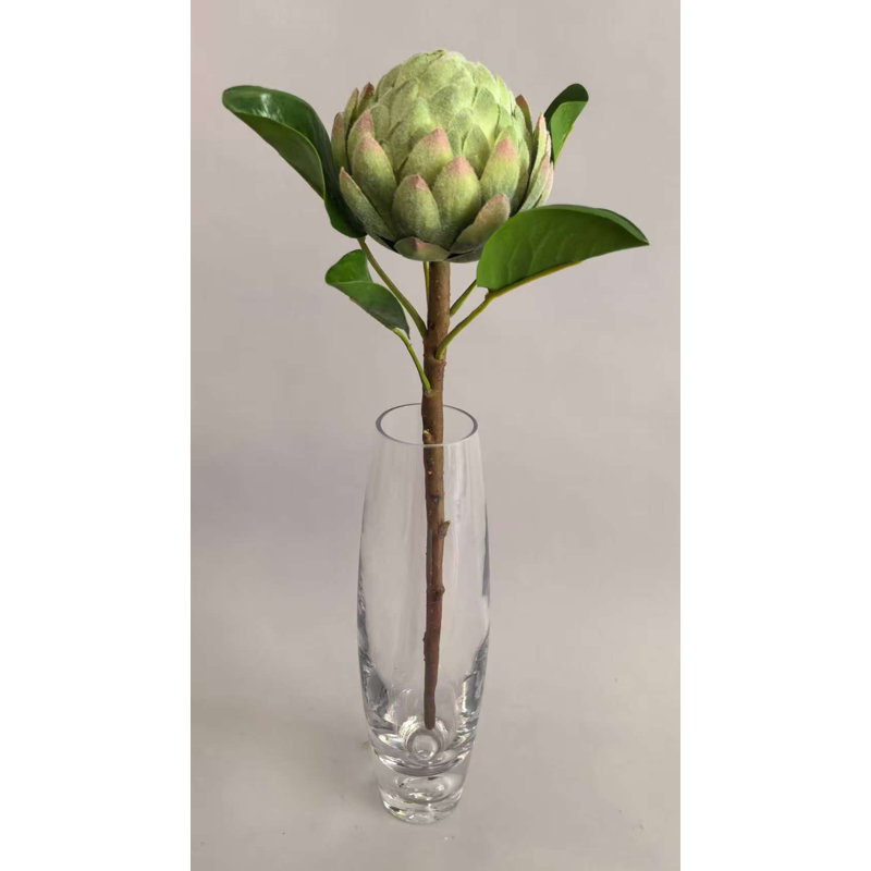 Protea King ronde de 16 po, Green