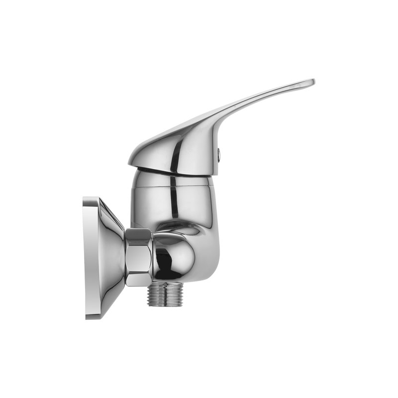 Thermostatic Shower