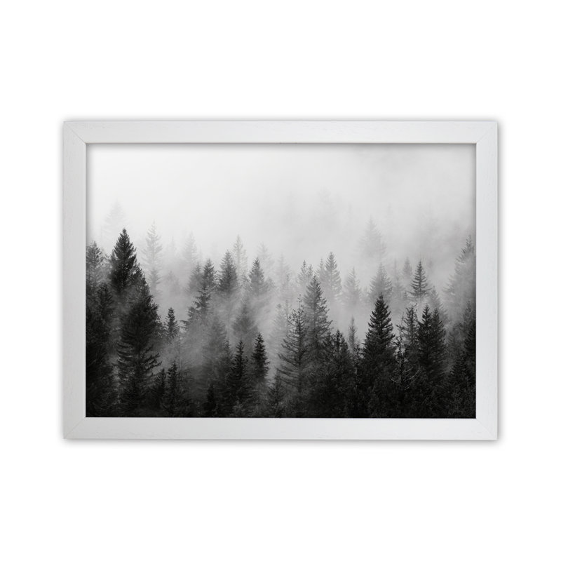 Forest - Print, 88cm H x 64cm W x 3cm D, White Framed