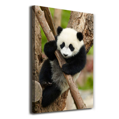 Panda On The Tree - Wrapped Canvas Print