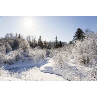 Winter Creek Snow 1 Piece Wrapped Canvas Wall Art