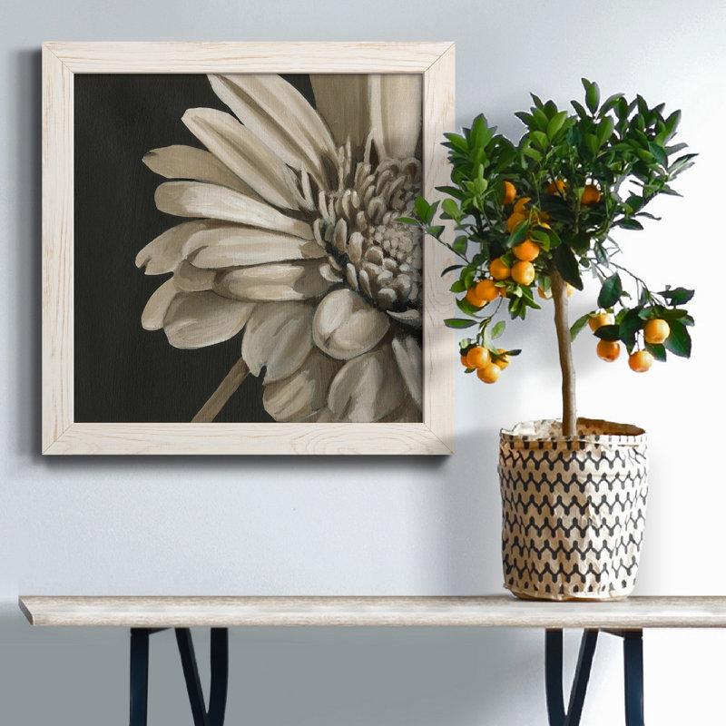 Classical Blooms IV - Art mural, H 35,5 po x l 35,5 po x P 1,5 po, Blanc