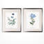 «Imperial Blue», ensemble de 2 reproductions d'impressions encadrées-28785853
