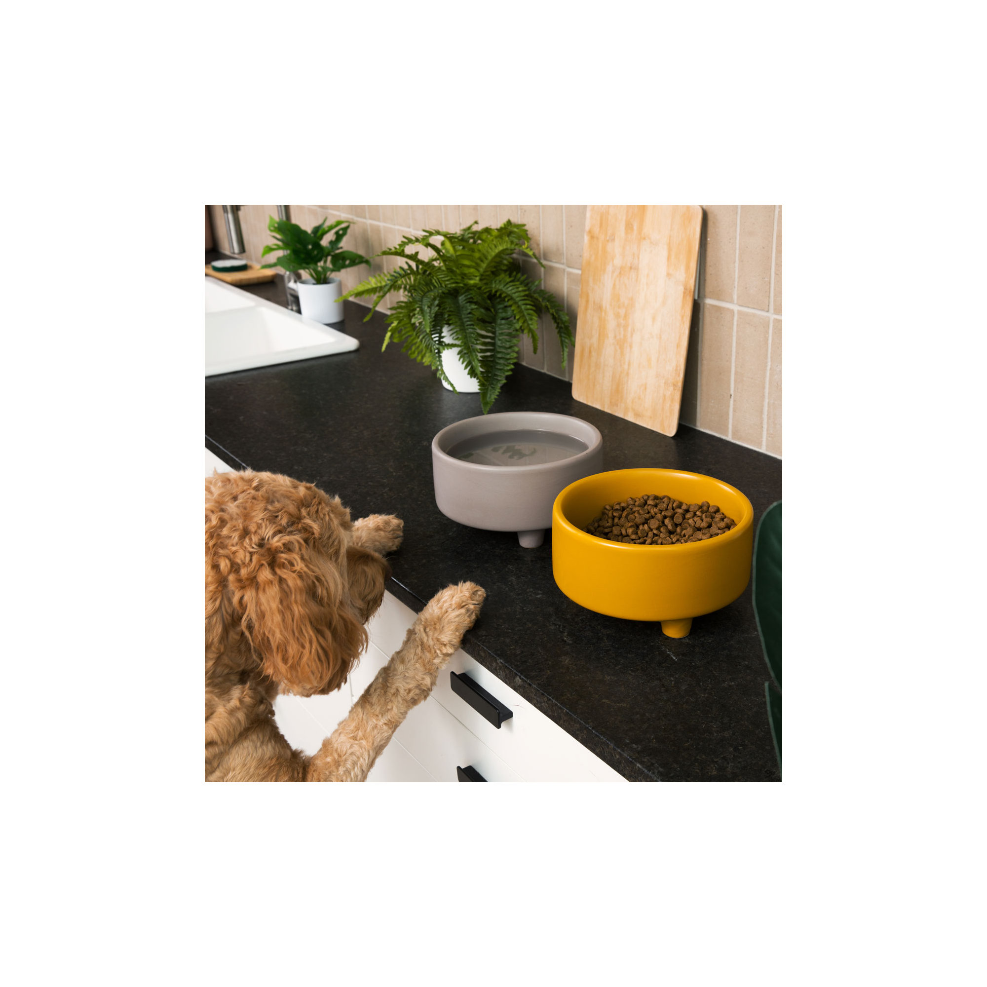 Uplift Ceramic Dog Bowl, Vintage Gray, Large (8 cups / 64 fluid oz)