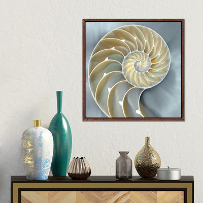 Nautilus In Blue I