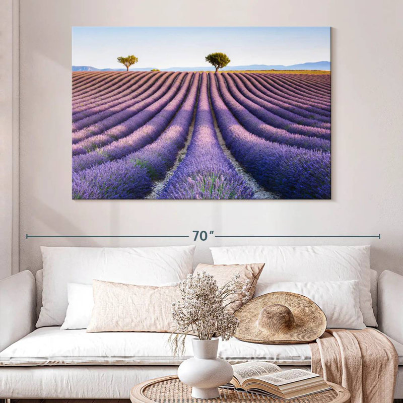 Alvord, champ de lavande, Provence, H 34 po x l 51 po
