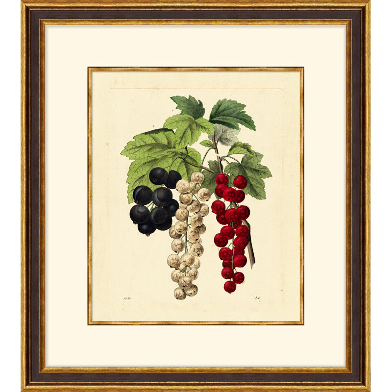 Vivid Cherries - Cadre photo, impression sur papier