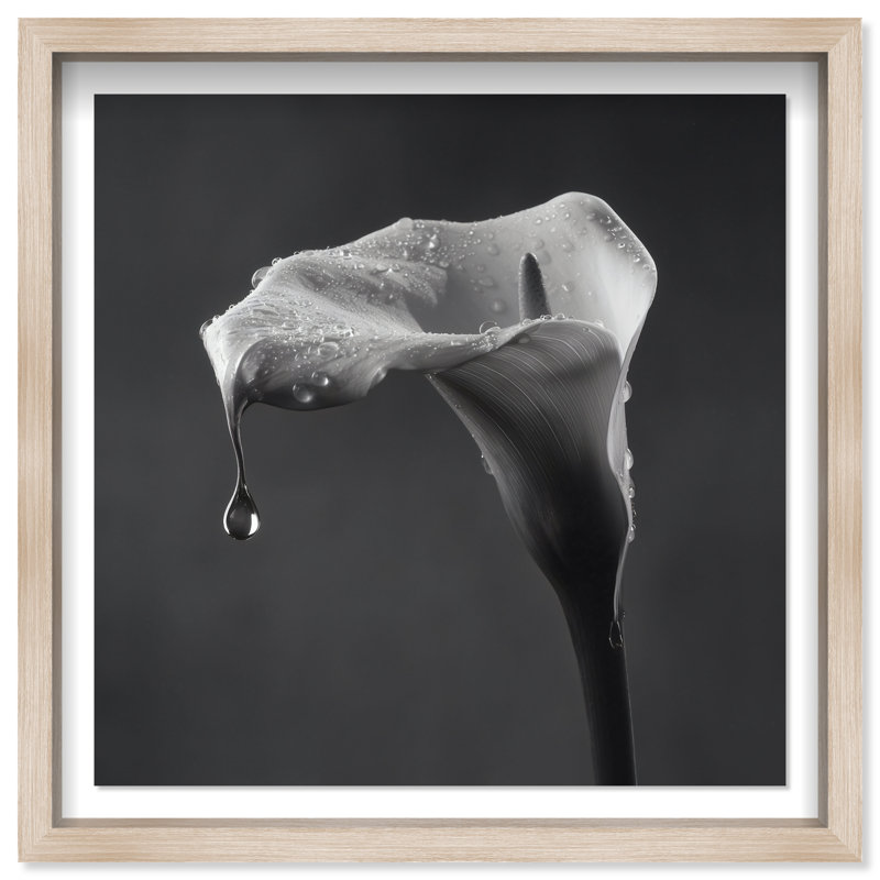 Midnight Rain Print by Oliver Gal, 17.5"H x 17.5"W, Natural Oak Shadowbox