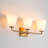 Dimmble Glass Vanity Light-388691036