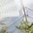 6 ft x 2 ft Polycarbonate Twin Wall 8mm