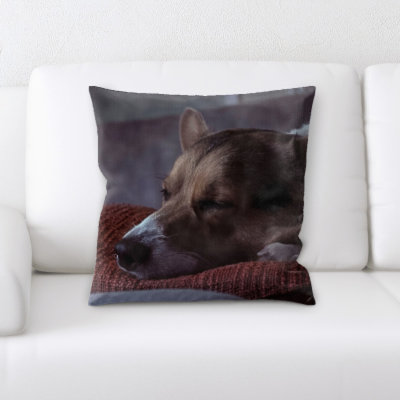 Coussin pour chien