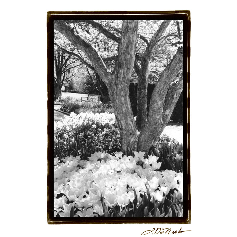 Springtime Garden VI by Laura DeNardo - 1 Piece Wrapped Canvas Wall Art, 76cm H x 51cm W x 3.8cm D