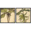 Ensemble de 2 reproductions d'art sur toile rétro encadrées de plantes botaniques-123400191-123400188