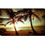 Coucher de soleil de Bimini par Susan Bryant - photographie-64742491-64742493