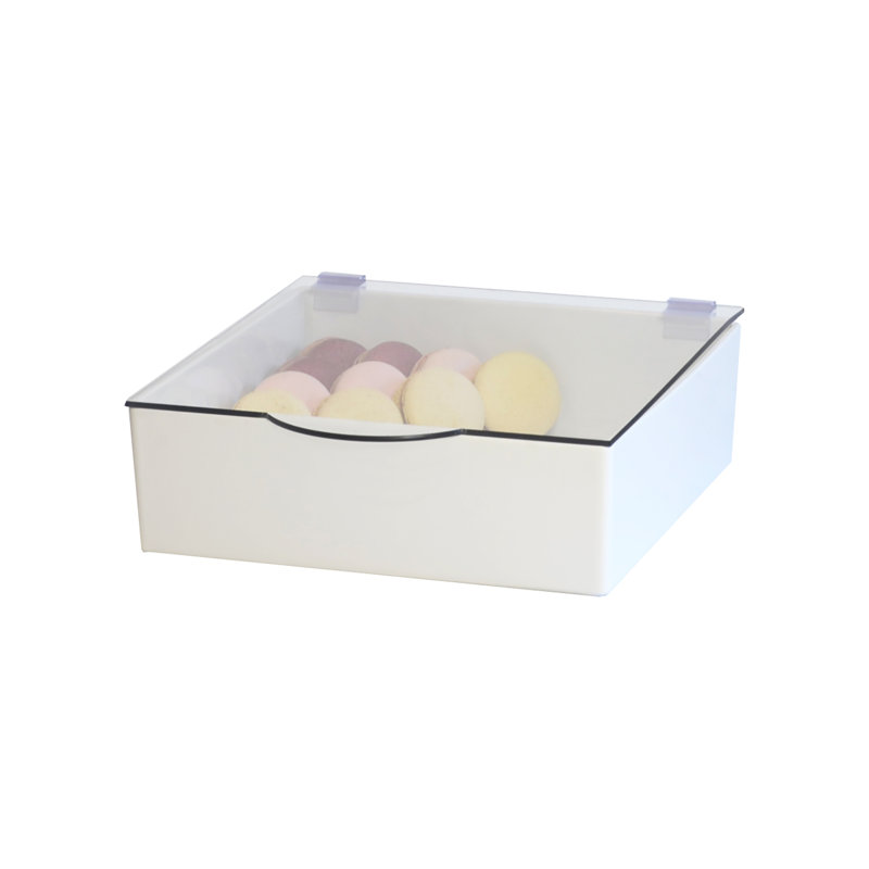 Lid With Hinge, 0.25" H x 10" W x 10" D, Square