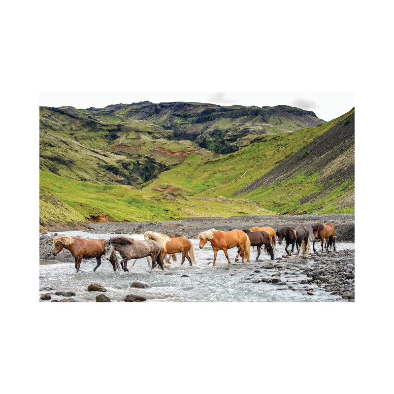 Collection Of Horses II by PHBurchett - Wrapped Canvas Print, 30.48 cm H x 45.72 cm W