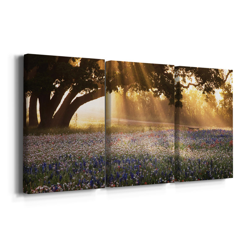 Morning Meadow Sunrise - toile tendue avec châssis de qualité supérieure - prête à être accrochée, H 27 po x l 54 po x P 1 po