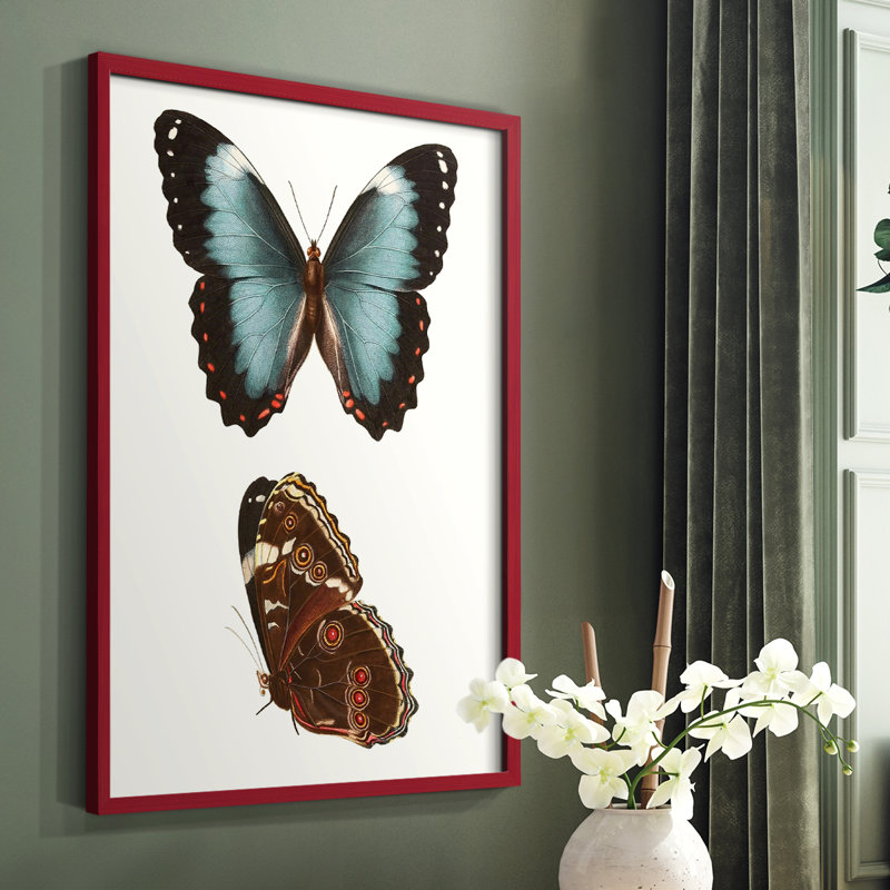 «Antique Blue Butterflies IV», reproduction encadrée - bois massif, Rouge, H 10 po x l 8 po