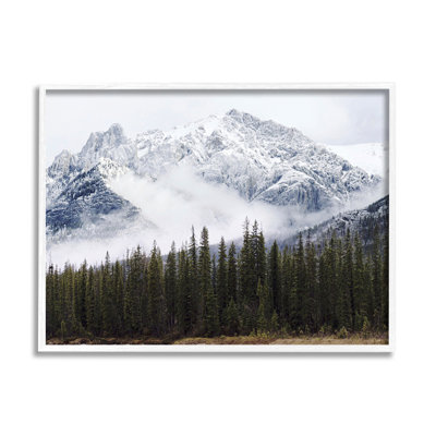 Snowy Mountain Top Tall Fir Trees