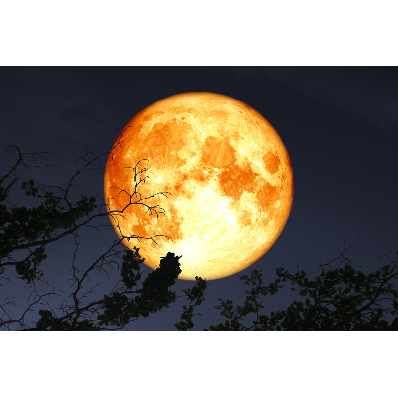 Full Blood Moon Floating - Wrapped Canvas Print, 30cm H x 46cm W x 3.8cm D