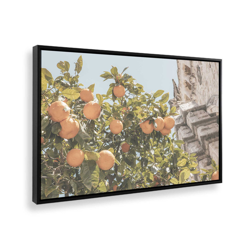 Reproduction sur bois de citronniers méditerranéen, Cadre flottant noir satiné, H 8,75 po x l 12,75 po