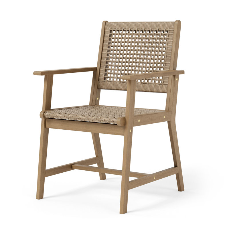 Fauteuil de salle à manger en polyéthylène (PE)