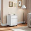 McLoughney 40cm Wide Mobile File Cabinet-1684424113