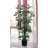 Bamboo Silk Plant Tree