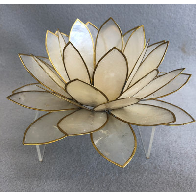 3.5'' H Capiz Tabletop Votive Holder