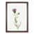 Walnut Framed selected