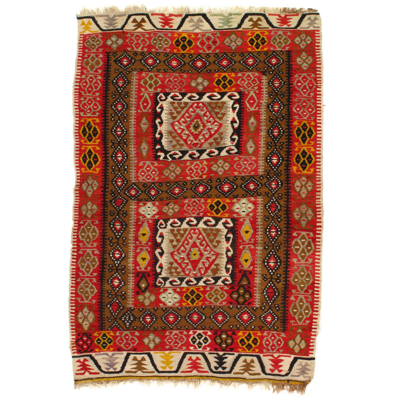 Muirne Oriental Area Rug in Rust